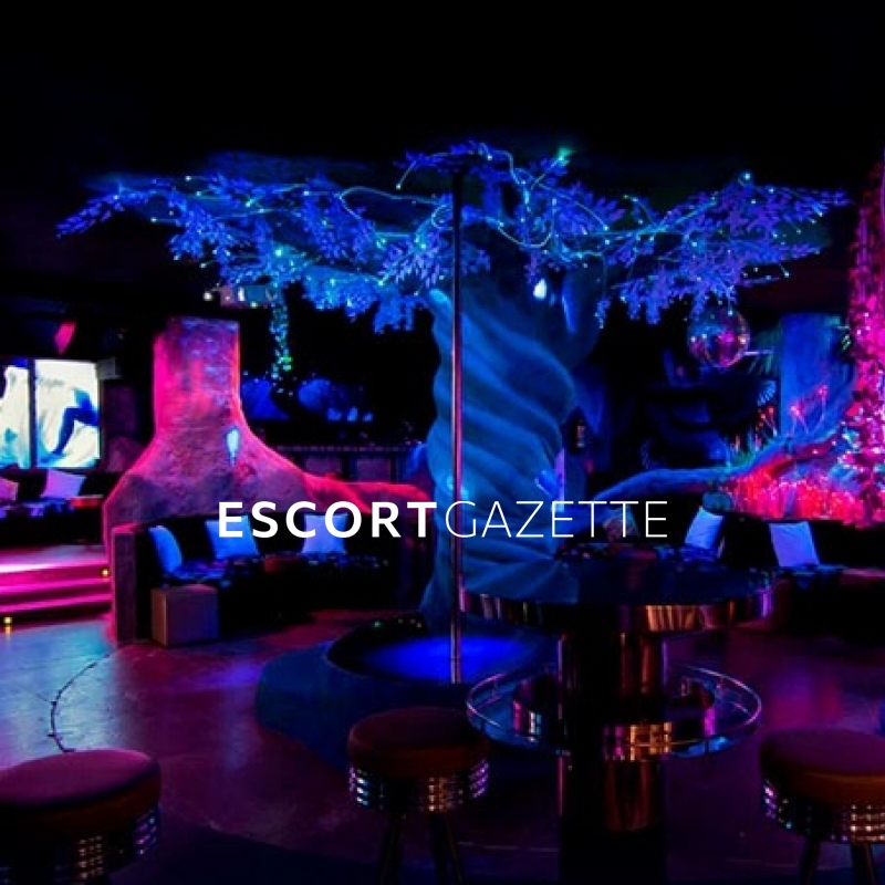 erotic club brothel Barcelona